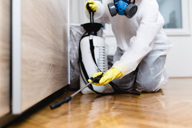 Best Flea Control Services  in Crown Pot, IN