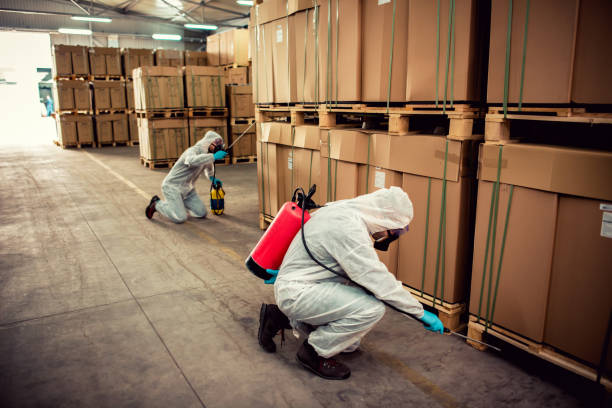 Best Wasp Removal Services  in Crown Pot, IN