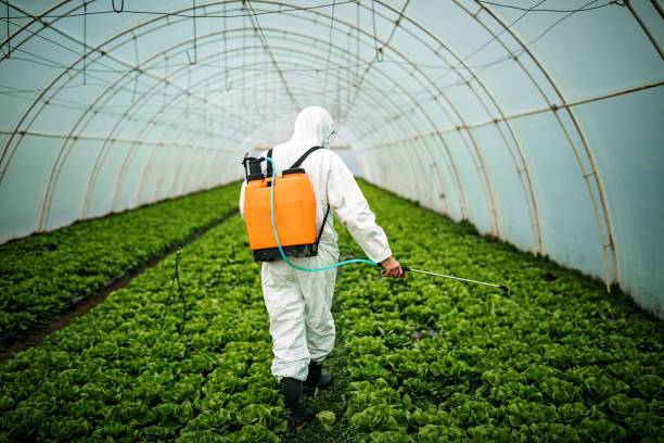 Best Emergency Pest Control  in Crown Pot, IN