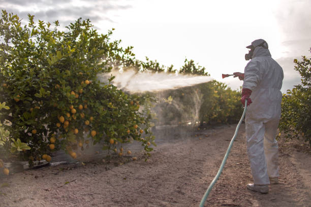 Best Commercial Pest Control Services  in Crown Pot, IN