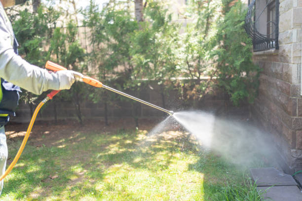Best Affordable Pest Control Services  in Crown Pot, IN