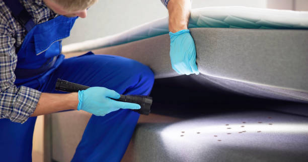 Pest Control for Restaurants in Crown Point, IN