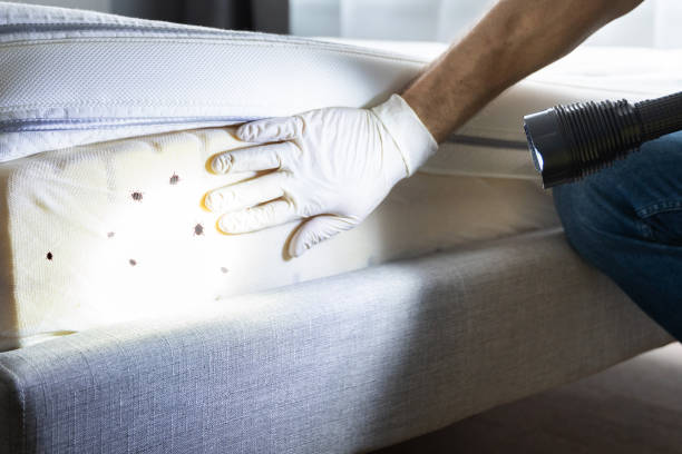 Best Pest Control Near Me  in Crown Pot, IN