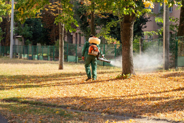 Best Pest Control for Homes  in Crown Pot, IN