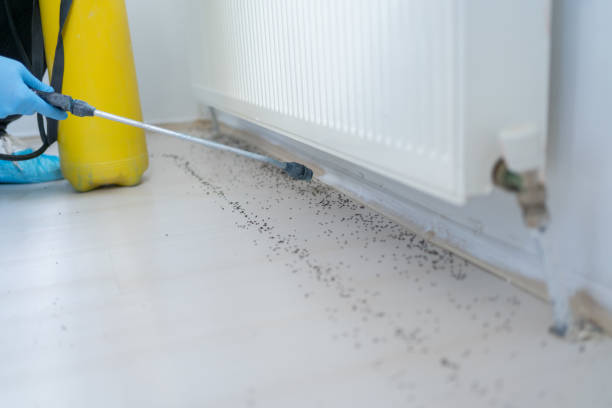 Best Pest Inspection Near Me  in Crown Pot, IN