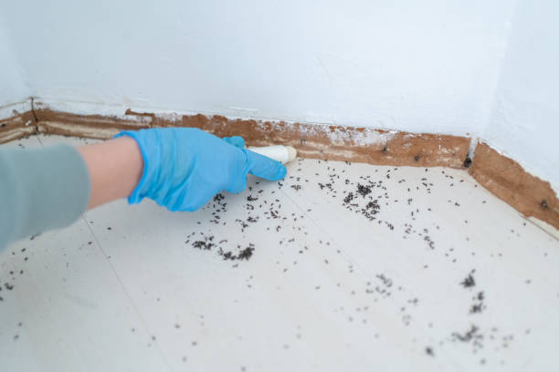 Reliable Crown Point, IN Pest Control Solutions