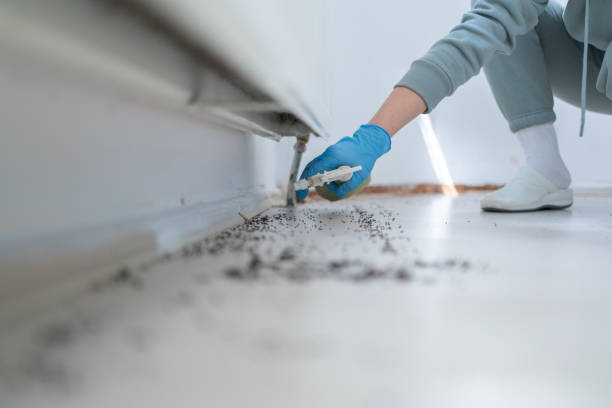 Best Pest Prevention Services  in Crown Pot, IN